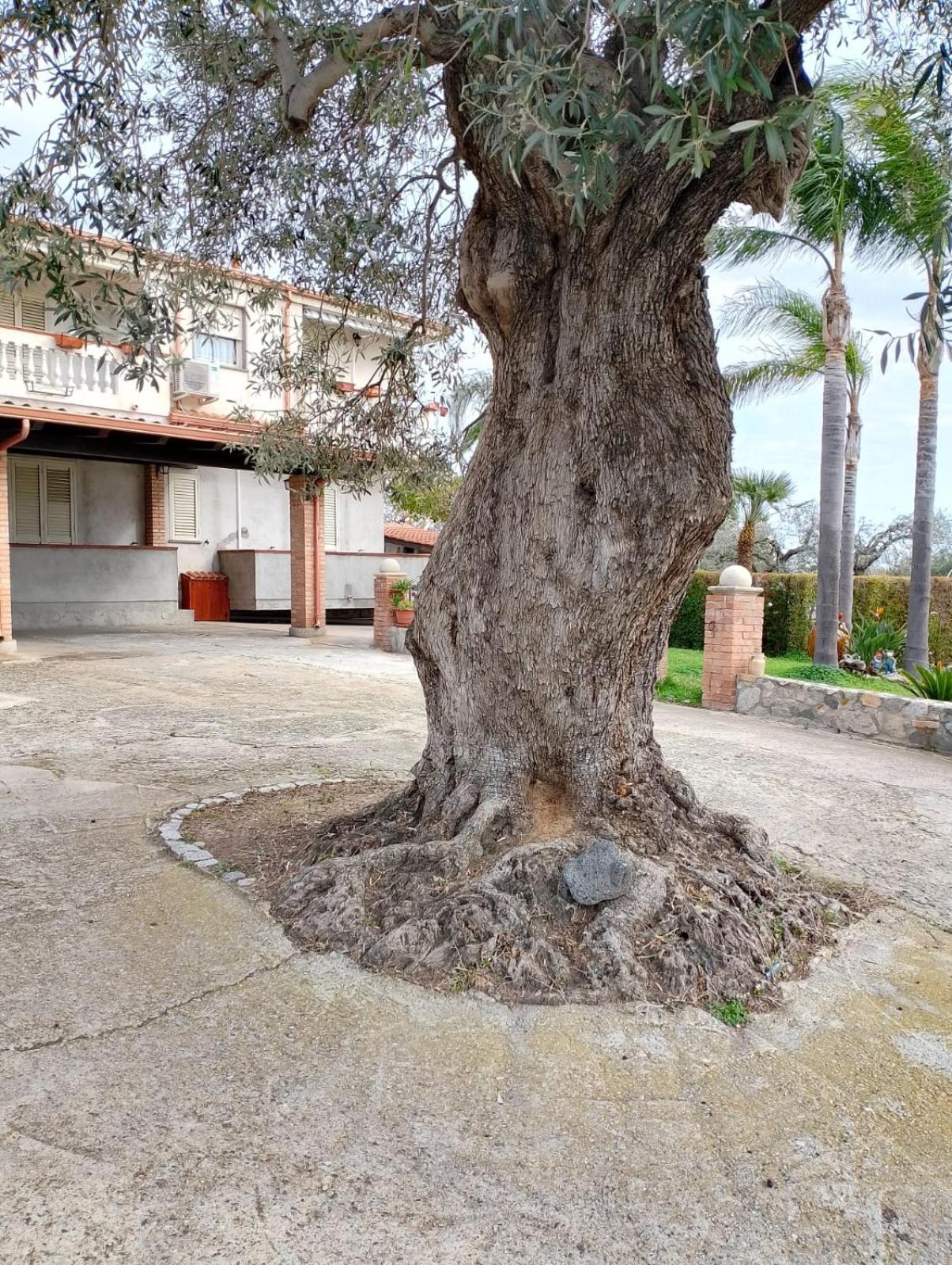 Casa Melia Apartment Monasterace Exterior photo